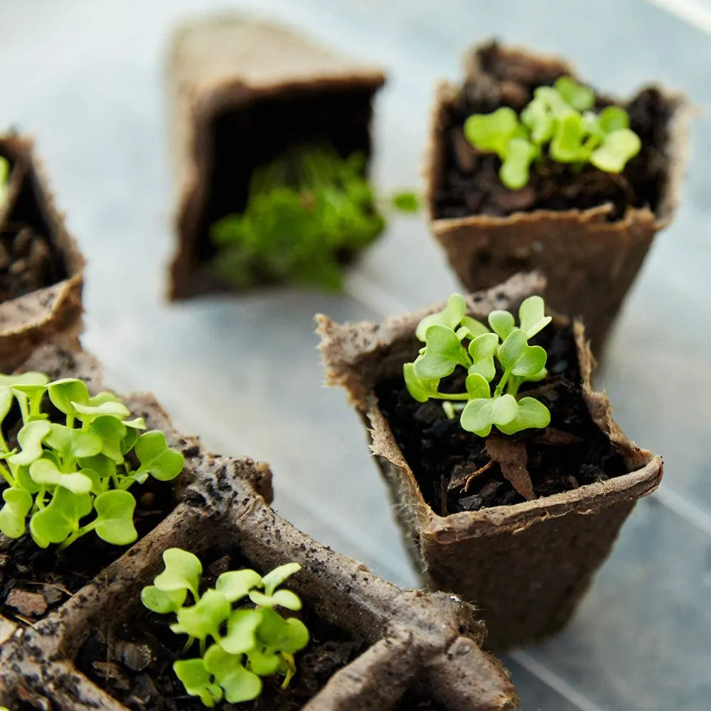 100PC 10 Cells Biodegradable Paper Pulp Peat Paper Pot Tray Plant Nursery Vegetable Seed Starter