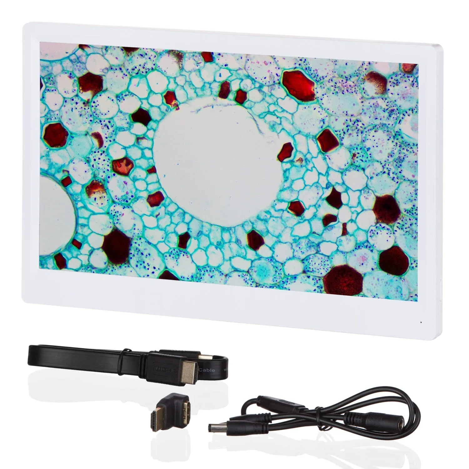 AmScope 1080p HDMI Monitor with Mounting Bracket for HD1080 and HD1080A Cameras