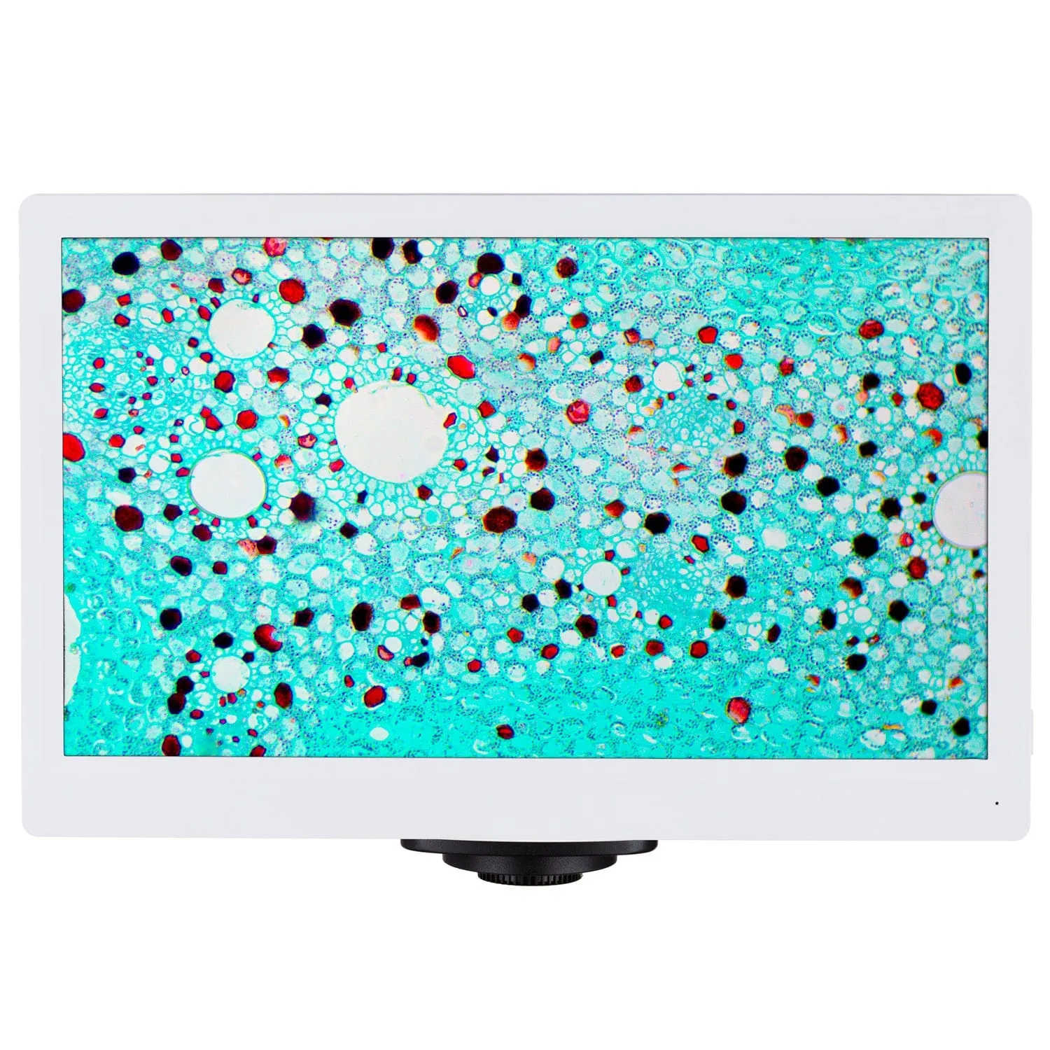 AmScope HD Series 1080p 60fps 2.0MP HDMI High-sensitivity Color CMOS C-mount Microscope Camera with Monitor for Stand-alone and PC Imaging