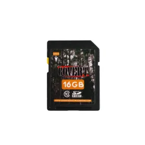 Covert 16GB SD Card
