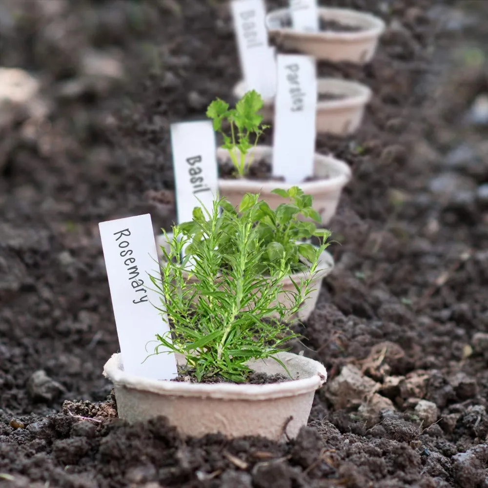 Peat Plant Pots for Plantings, Plant Starter Kit Paper Pulp Germination Planting Pots Supplies 2" Round 60Pc