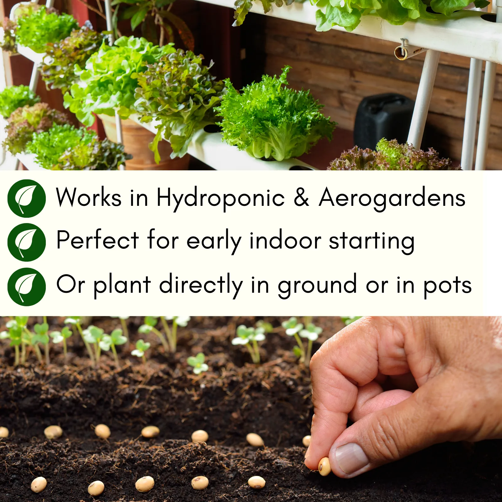 Picklers, Canners & Salsa Grow Kit | 500 Seeds, 20 Varieties   60 Organic EcoPaper Seed Pots | Non-GMO, Resealable Bags, Peat-Alternative