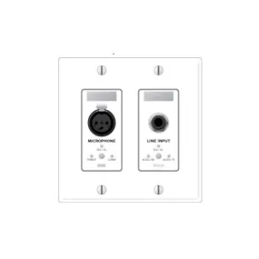 Rane RAD18 Remote Audio Device - XLR Mic In TRS Line In - Ivory