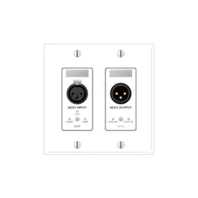 Rane RAD5 Remote Audio Device -AES3 Input/AES3 Output - Ivory