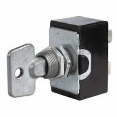 Switch On/Off Heavy Duty with two keys Bg1