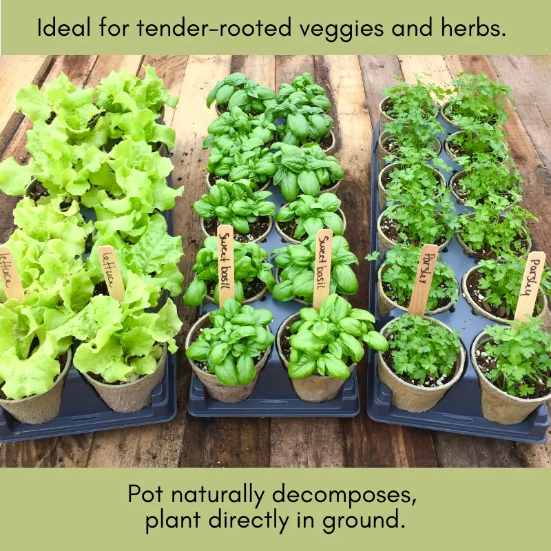 Tomatoes & Peppers Grow Kit | 500 Seeds, 19 Varieties   60 Organic EcoPaper Seed Pots | Non-GMO, Resealable Bags, Peat-Alternative