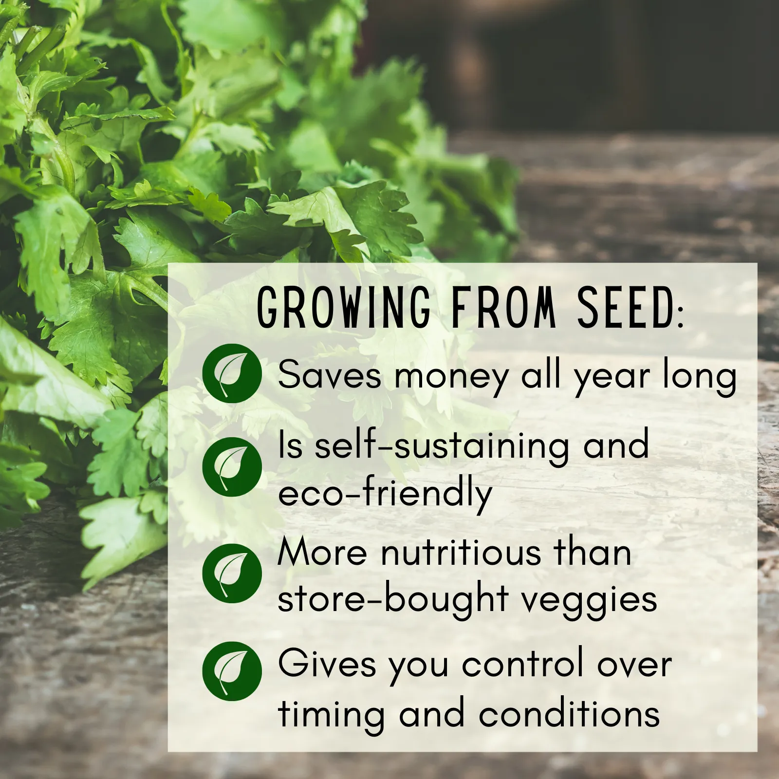 Veggie Garden Favorites Grow Kit | 725 Seeds, 29 Varieties   60 Organic EcoPaper Seed Pots | Non-GMO, Resealable Bags, Peat-Alternative