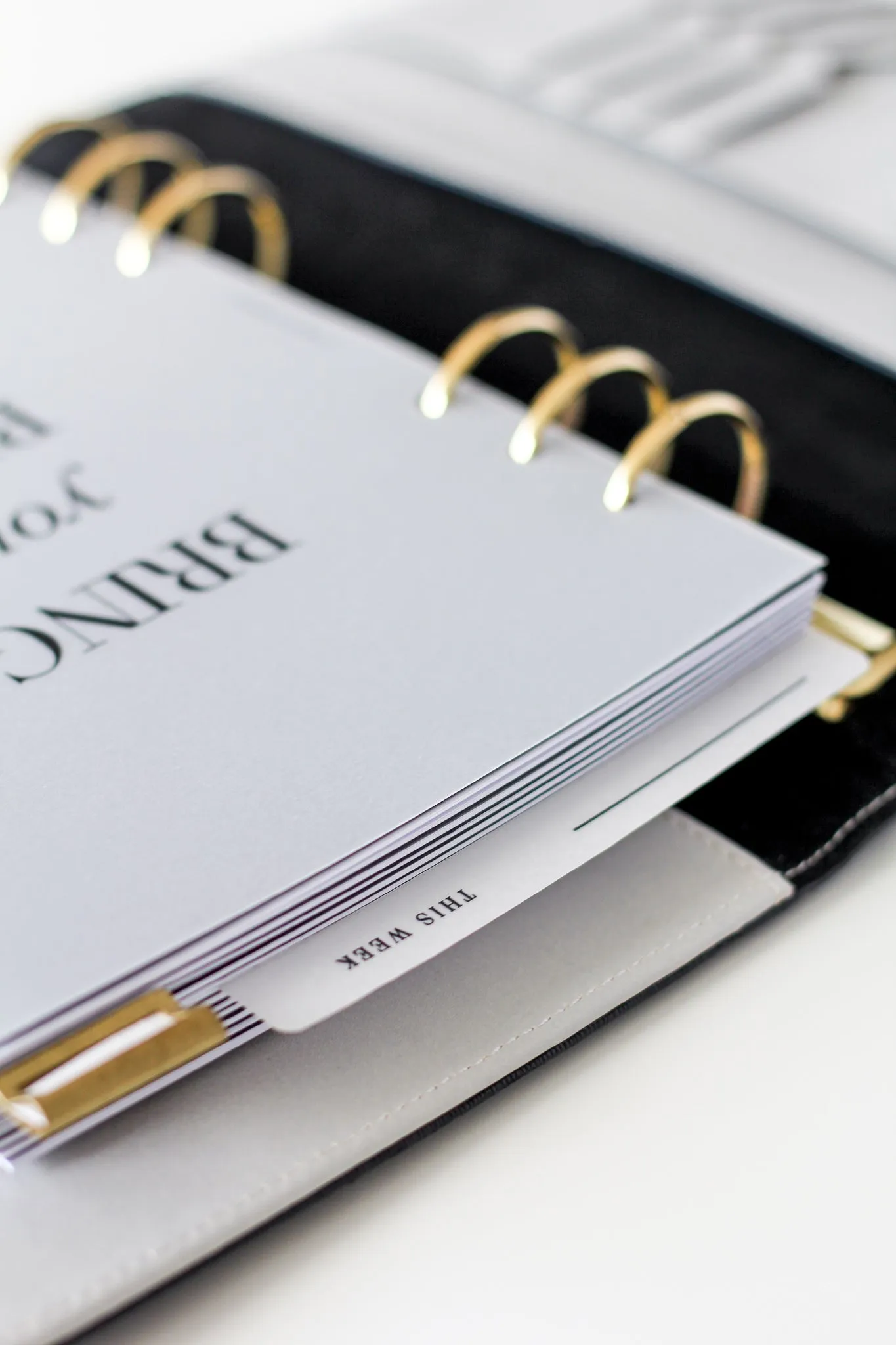 Vellum Weekly Page Marker